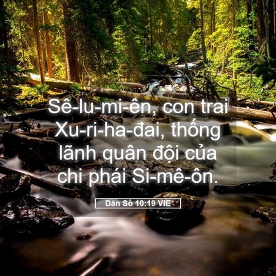 Picture 05 - Dân Số 10:19 VIE - Sê-lu-mi-ên, con trai Xu-ri-ha-đai, thống - Bible Verse Picture