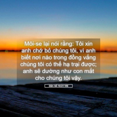 Picture 05 - Dân Số 10:31 VIE - Môi-se lại nói rằng: Tôi xin anh chớ - Bible Verse Picture