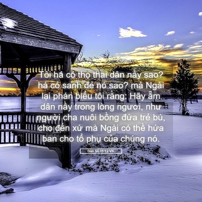 Picture 05 - Dân Số 11:12 VIE - Tôi há có thọ thai dân nầy sao? há có - Bible Verse Picture