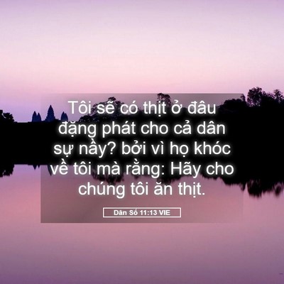 Picture 05 - Dân Số 11:13 VIE - Tôi sẽ có thịt ở đâu đặng phát cho - Bible Verse Picture