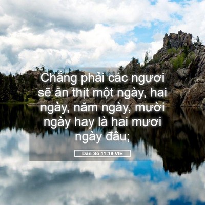 Picture 05 - Dân Số 11:19 VIE - Chẳng phải các ngươi sẽ ăn thịt một - Bible Verse Picture