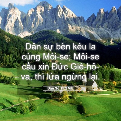 Picture 05 - Dân Số 11:2 VIE - Dân sự bèn kêu la cùng Môi-se; Môi-se - Bible Verse Picture