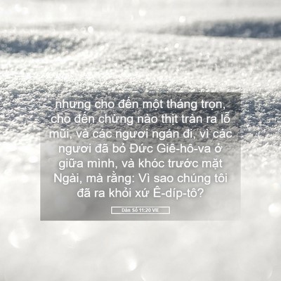 Picture 05 - Dân Số 11:20 VIE - nhưng cho đến một tháng trọn, cho đến - Bible Verse Picture