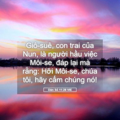 Picture 05 - Dân Số 11:28 VIE - Giô-suê, con trai của Nun, là người hầu - Bible Verse Picture