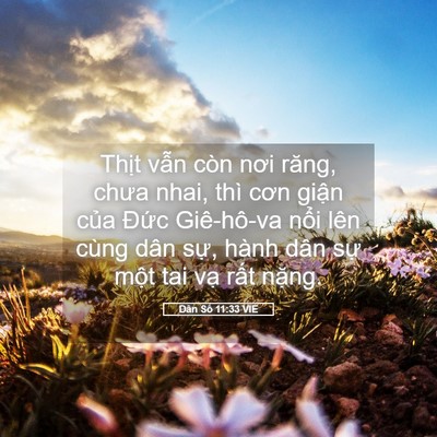 Picture 05 - Dân Số 11:33 VIE - Thịt vẫn còn nơi răng, chưa nhai, thì - Bible Verse Picture