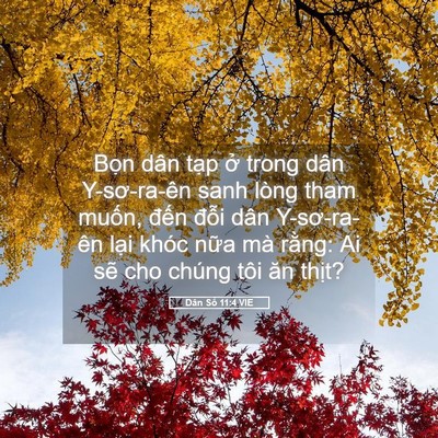 Picture 05 - Dân Số 11:4 VIE - Bọn dân tạp ở trong dân Y-sơ-ra-ên sanh - Bible Verse Picture
