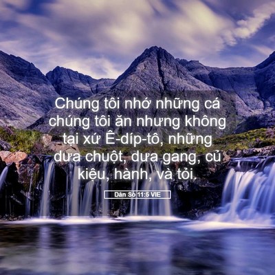 Picture 05 - Dân Số 11:5 VIE - Chúng tôi nhớ những cá chúng tôi ăn - Bible Verse Picture