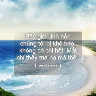 Picture 05 - Dân Số 11:6 VIE - Bây giờ, linh hồn chúng tôi bị khô - Bible Verse Picture