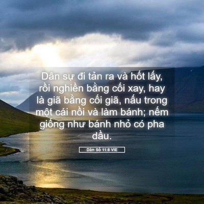 Picture 05 - Dân Số 11:8 VIE - Dân sự đi tản ra và hốt lấy, rồi - Bible Verse Picture
