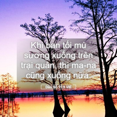 Picture 05 - Dân Số 11:9 VIE - Khi ban tối mù sương xuống trên trại - Bible Verse Picture