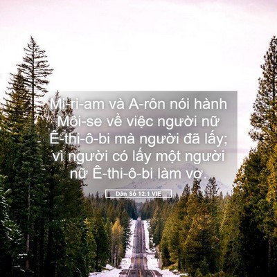 Picture 05 - Dân Số 12:1 VIE - Mi-ri-am và A-rôn nói hành Môi-se về - Bible Verse Picture
