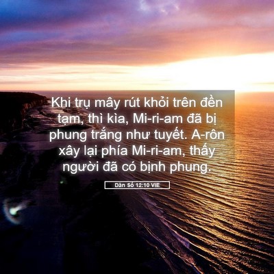 Picture 05 - Dân Số 12:10 VIE - Khi trụ mây rút khỏi trên đền tạm, - Bible Verse Picture