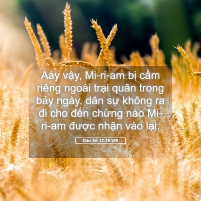 Picture 05 - Dân Số 12:15 VIE - Aáy vậy, Mi-ri-am bị cầm riêng ngoài - Bible Verse Picture
