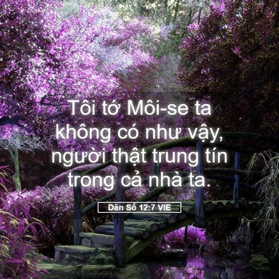 Picture 05 - Dân Số 12:7 VIE - Tôi tớ Môi-se ta không có như vậy, - Bible Verse Picture