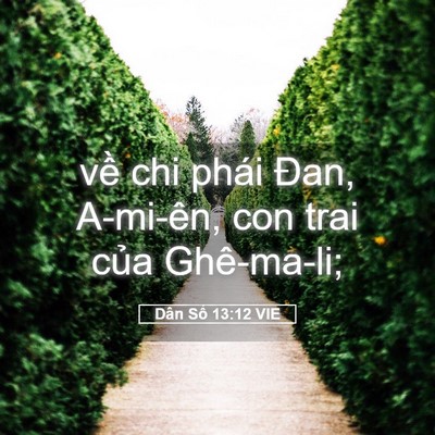Picture 05 - Dân Số 13:12 VIE - về chi phái Đan, A-mi-ên, con trai của - Bible Verse Picture