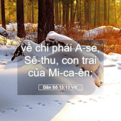 Picture 05 - Dân Số 13:13 VIE - về chi phái A-se, Sê-thu, con trai của - Bible Verse Picture