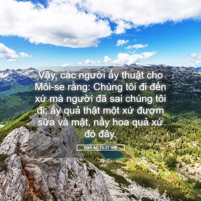 Picture 05 - Dân Số 13:27 VIE - Vậy, các người ấy thuật cho Môi-se - Bible Verse Picture