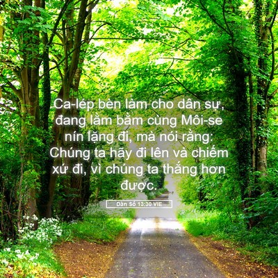 Picture 05 - Dân Số 13:30 VIE - Ca-lép bèn làm cho dân sự, đang lằm - Bible Verse Picture