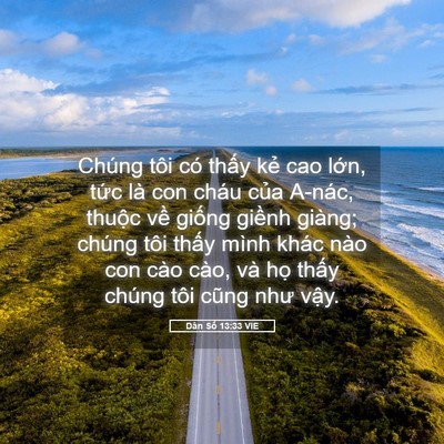 Picture 05 - Dân Số 13:33 VIE - Chúng tôi có thấy kẻ cao lớn, tức là - Bible Verse Picture
