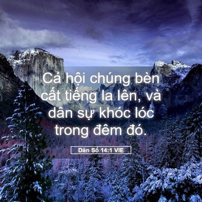 Picture 05 - Dân Số 14:1 VIE - Cả hội chúng bèn cất tiếng la lên, và - Bible Verse Picture
