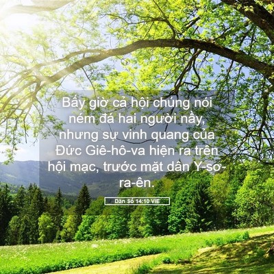 Picture 05 - Dân Số 14:10 VIE - Bấy giờ cả hội chúng nói ném đá hai - Bible Verse Picture
