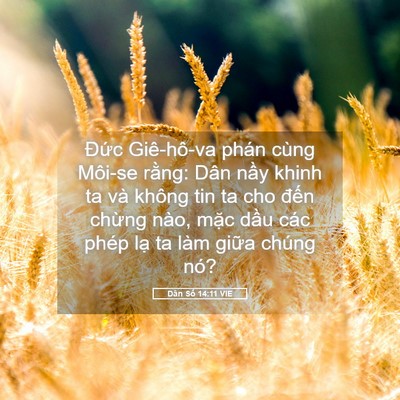Picture 05 - Dân Số 14:11 VIE - Đức Giê-hô-va phán cùng Môi-se rằng: - Bible Verse Picture