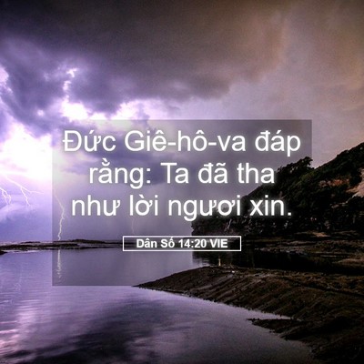 Picture 05 - Dân Số 14:20 VIE - Đức Giê-hô-va đáp rằng: Ta đã tha như - Bible Verse Picture