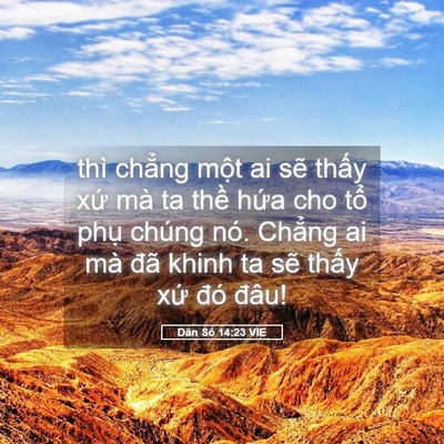 Picture 05 - Dân Số 14:23 VIE - thì chẳng một ai sẽ thấy xứ mà ta - Bible Verse Picture