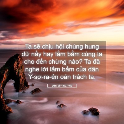 Picture 05 - Dân Số 14:27 VIE - Ta sẽ chịu hội chúng hung dữ nầy hay - Bible Verse Picture