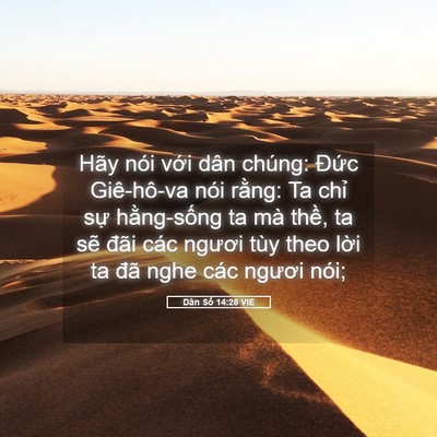 Picture 05 - Dân Số 14:28 VIE - Hãy nói với dân chúng: Đức Giê-hô-va - Bible Verse Picture