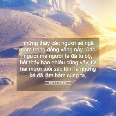 Picture 05 - Dân Số 14:29 VIE - những thây các ngươi sẽ ngã nằm trong - Bible Verse Picture