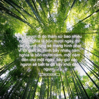 Picture 05 - Dân Số 14:34 VIE - Các ngươi đi do thám xứ bao nhiêu ngày, - Bible Verse Picture