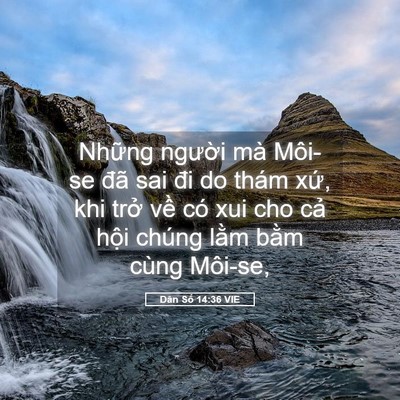 Picture 05 - Dân Số 14:36 VIE - Những người mà Môi-se đã sai đi do - Bible Verse Picture