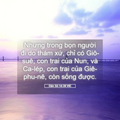 Picture 05 - Dân Số 14:38 VIE - Nhưng trong bọn người đi do thám xứ, - Bible Verse Picture