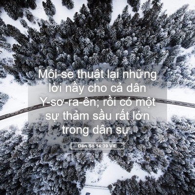 Picture 05 - Dân Số 14:39 VIE - Môi-se thuật lại những lời nầy cho - Bible Verse Picture