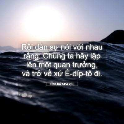 Picture 05 - Dân Số 14:4 VIE - Rồi dân sự nói với nhau rằng: Chúng ta - Bible Verse Picture