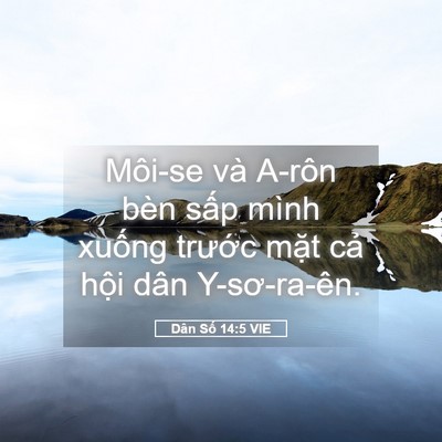 Picture 05 - Dân Số 14:5 VIE - Môi-se và A-rôn bèn sấp mình xuống - Bible Verse Picture