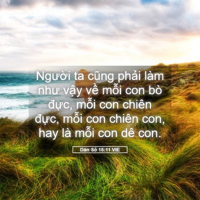 Picture 05 - Dân Số 15:11 VIE - Người ta cũng phải làm như vậy về - Bible Verse Picture