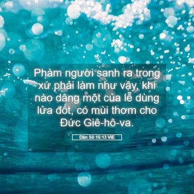 Picture 05 - Dân Số 15:13 VIE - Phàm người sanh ra trong xứ phải làm - Bible Verse Picture