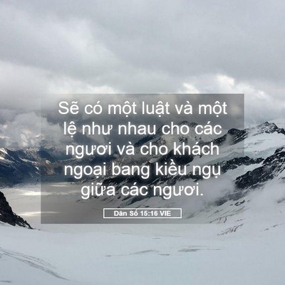 Picture 05 - Dân Số 15:16 VIE - Sẽ có một luật và một lệ như nhau - Bible Verse Picture