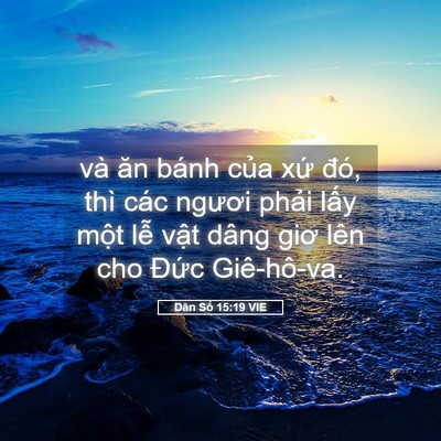 Picture 05 - Dân Số 15:19 VIE - và ăn bánh của xứ đó, thì các ngươi - Bible Verse Picture