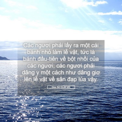 Picture 05 - Dân Số 15:20 VIE - Các ngươi phải lấy ra một cái bánh - Bible Verse Picture