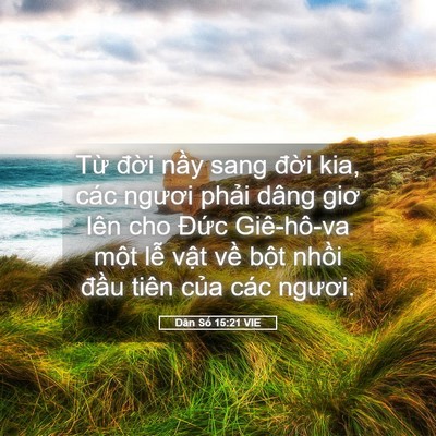 Picture 05 - Dân Số 15:21 VIE - Từ đời nầy sang đời kia, các ngươi - Bible Verse Picture