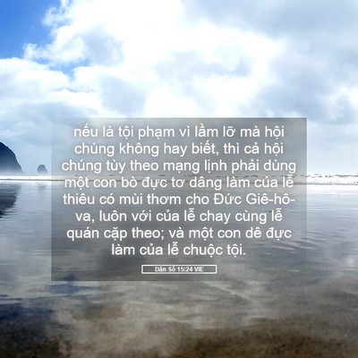 Picture 05 - Dân Số 15:24 VIE - nếu là tội phạm vì lầm lỡ mà hội - Bible Verse Picture
