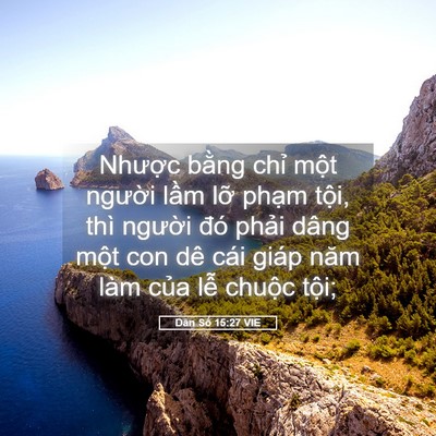 Picture 05 - Dân Số 15:27 VIE - Nhược bằng chỉ một người lầm lỡ - Bible Verse Picture