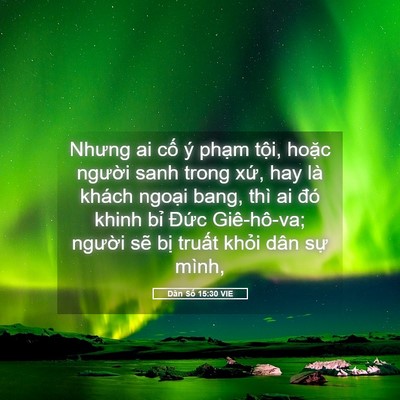 Picture 05 - Dân Số 15:30 VIE - Nhưng ai cố ý phạm tội, hoặc người - Bible Verse Picture