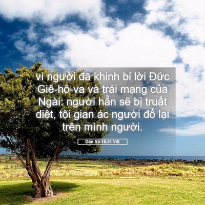 Picture 05 - Dân Số 15:31 VIE - vì người đã khinh bỉ lời Đức - Bible Verse Picture