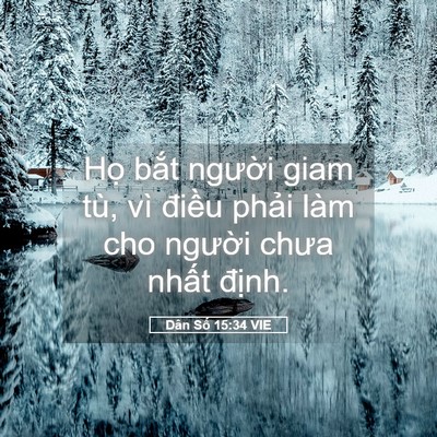 Picture 05 - Dân Số 15:34 VIE - Họ bắt người giam tù, vì điều phải - Bible Verse Picture