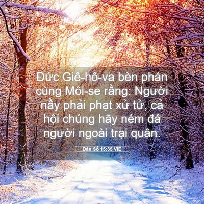Picture 05 - Dân Số 15:35 VIE - Đức Giê-hô-va bèn phán cùng Môi-se - Bible Verse Picture