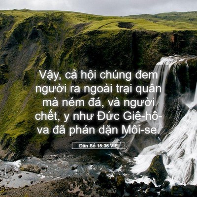 Picture 05 - Dân Số 15:36 VIE - Vậy, cả hội chúng đem người ra ngoài - Bible Verse Picture